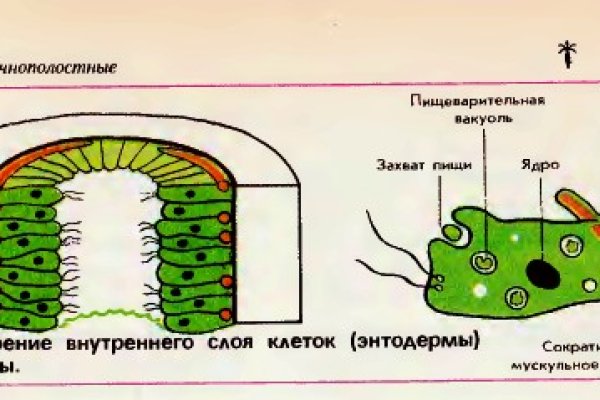 Кракен рабочий сайт