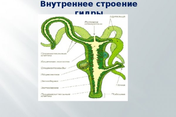 Кракен макет даркнет только через тор